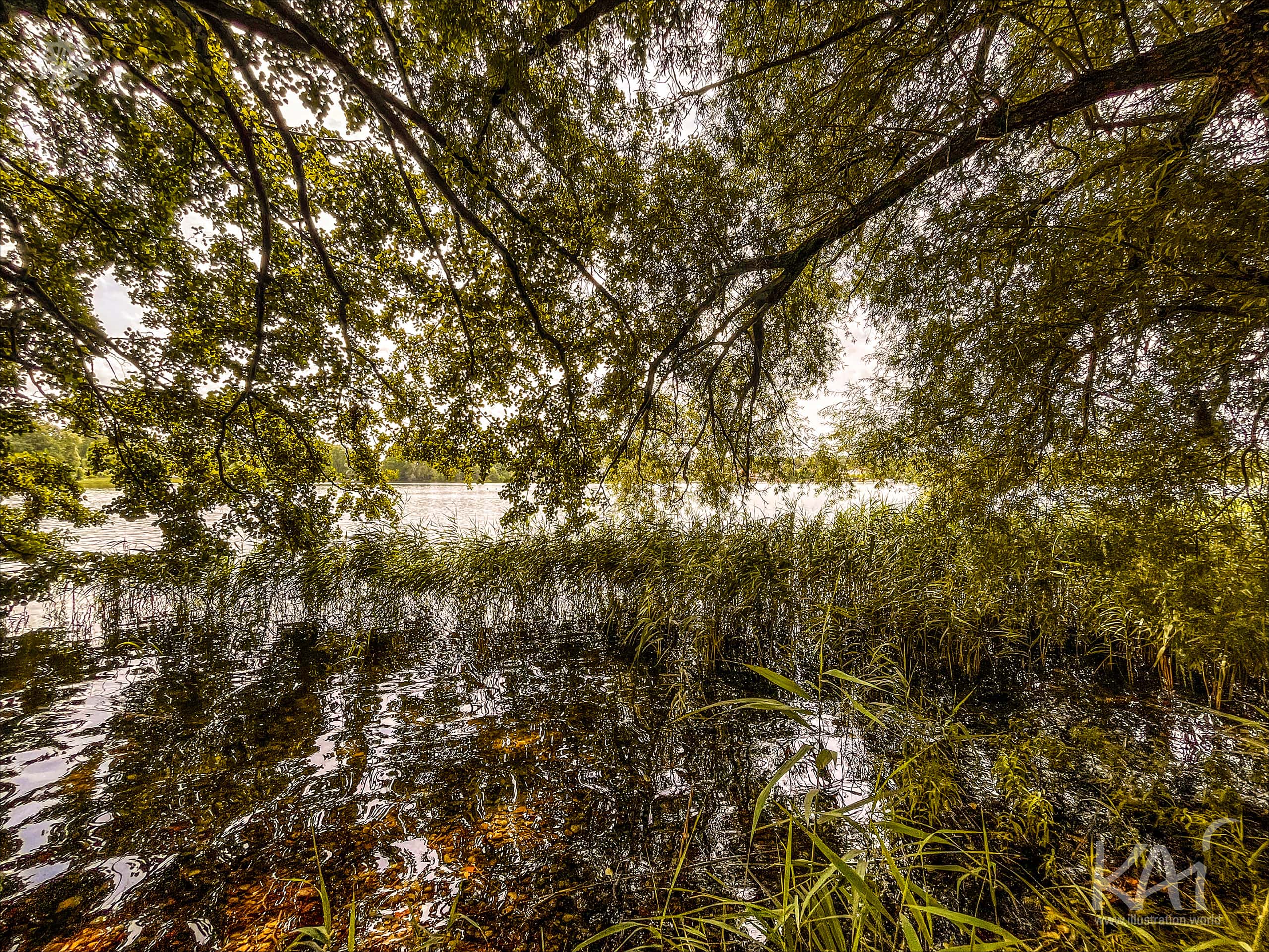 15th 3000Grad Festival 2025 - Feldberg - Germany