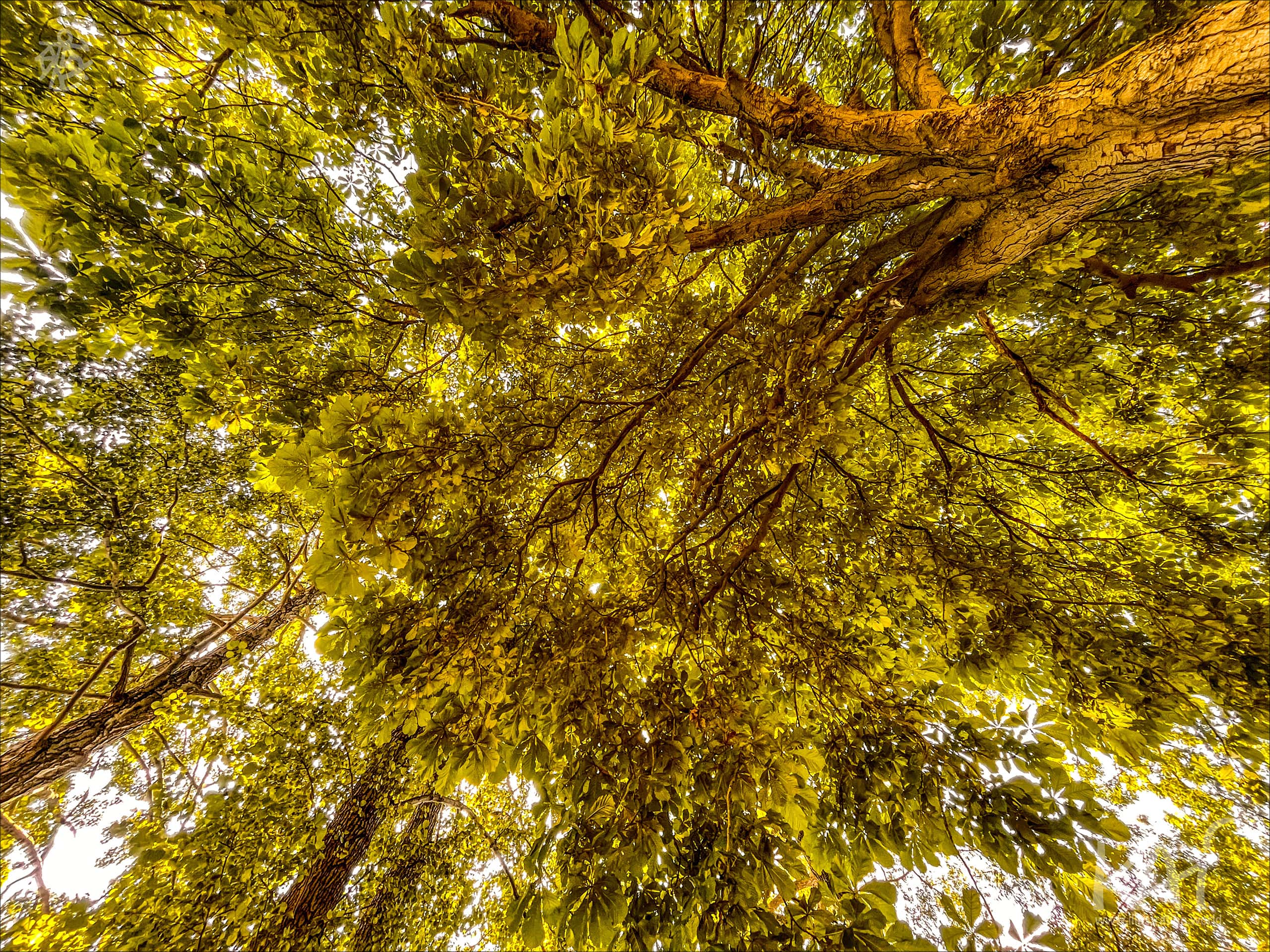 15th 3000Grad Festival 2025 - Feldberg - Germany