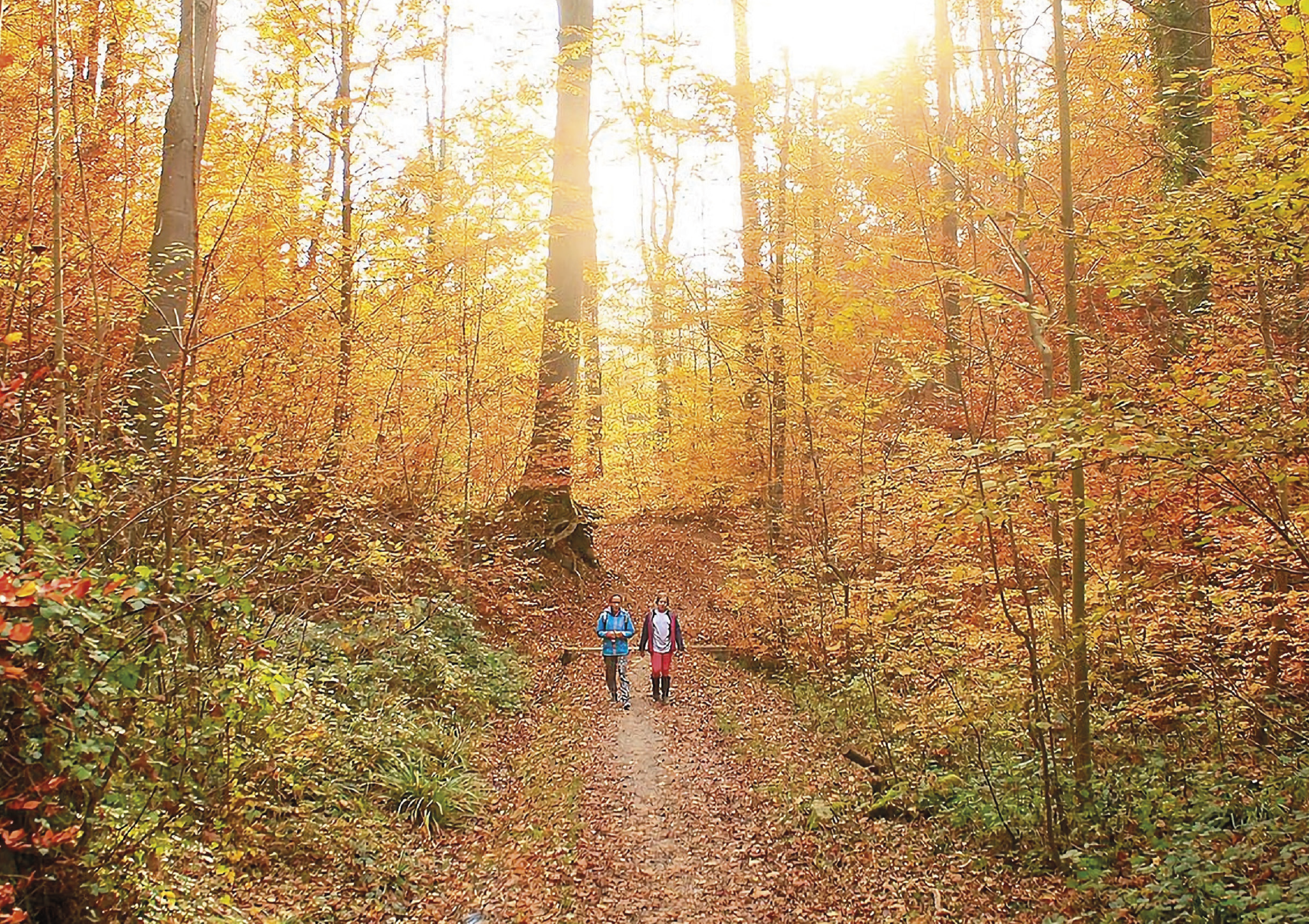 The Instagram Years 2018–2020