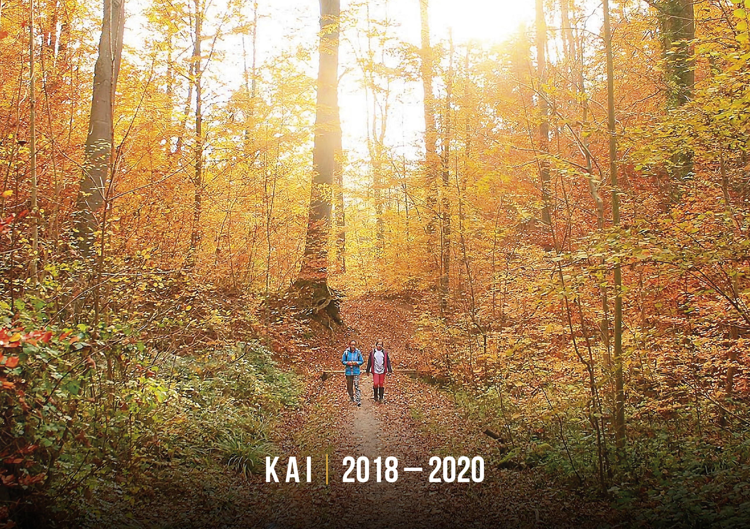 KAI 2018-2020 – The Instagram Years – www.illustration.world