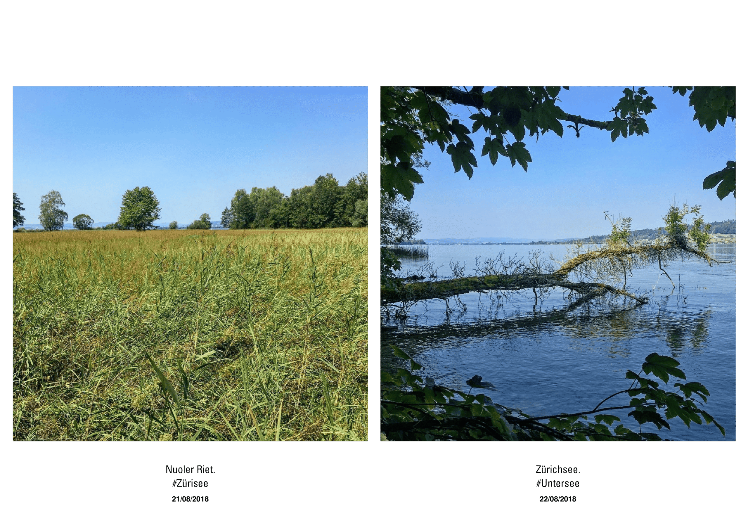 KAI 2018-2020 – The Instagram Years – www.illustration.world