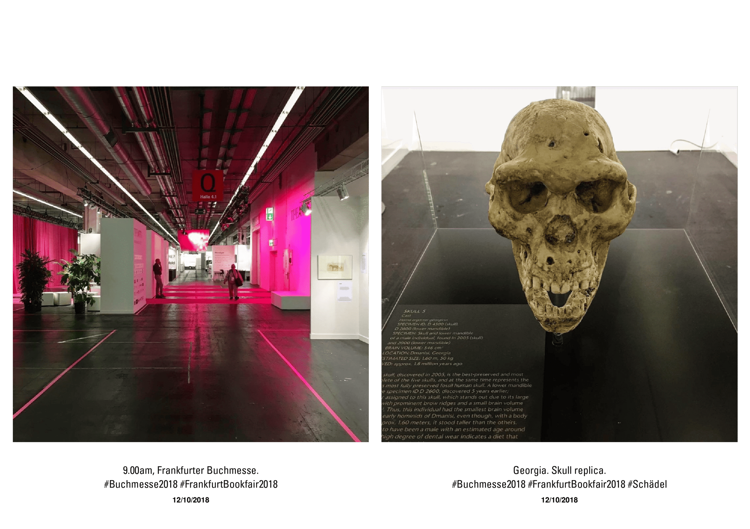 KAI 2018-2020 – The Instagram Years – www.illustration.world