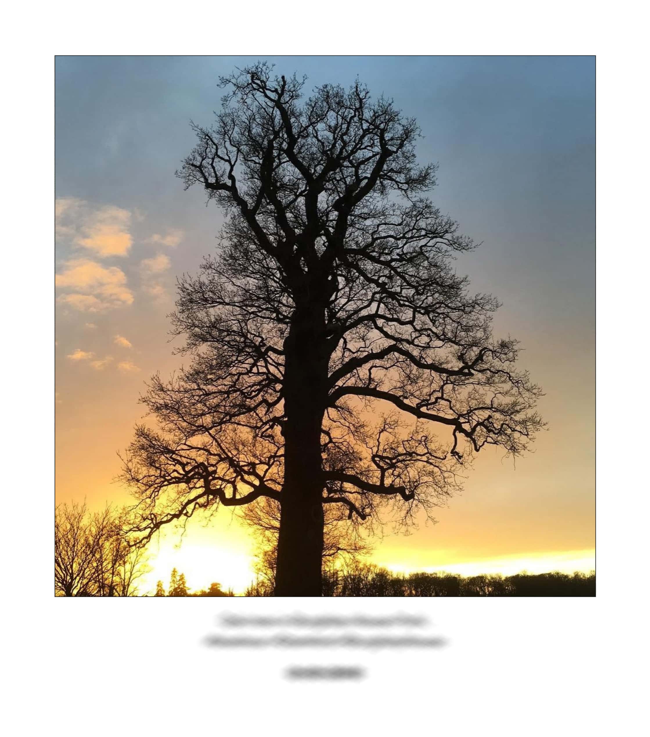 KAI – 2018 – The Instagram Years – www.illustration.world