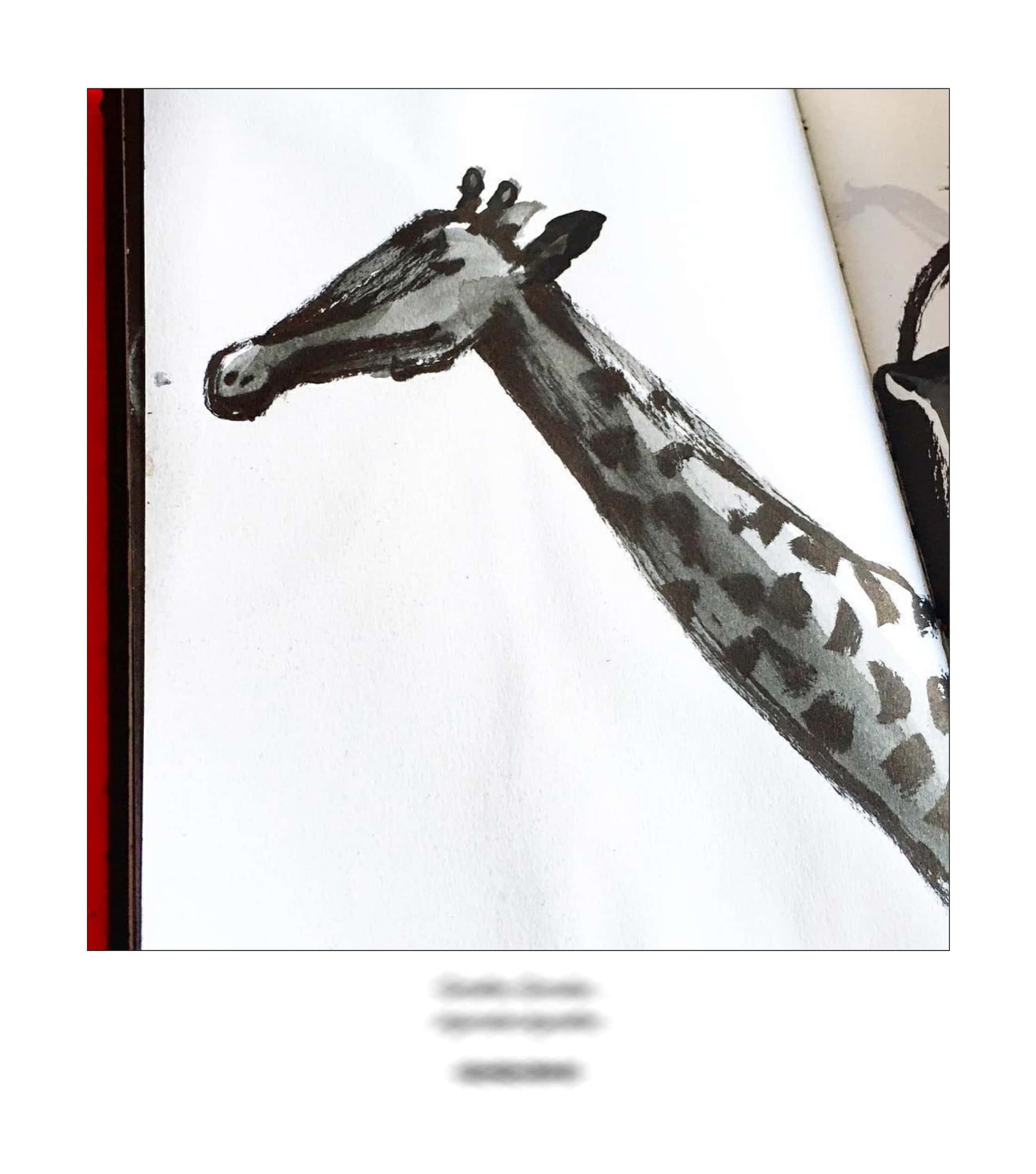 KAI – 2018 – The Instagram Years – www.illustration.world