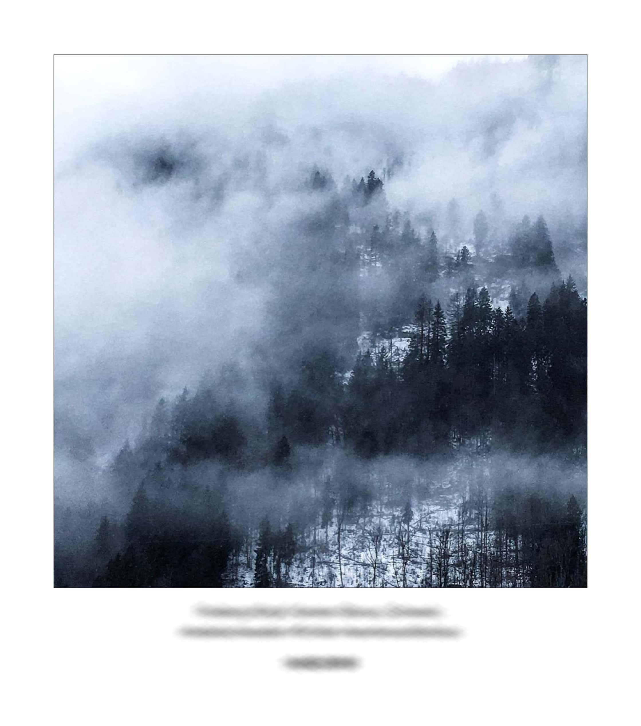 KAI – 2018 – The Instagram Years – www.illustration.world