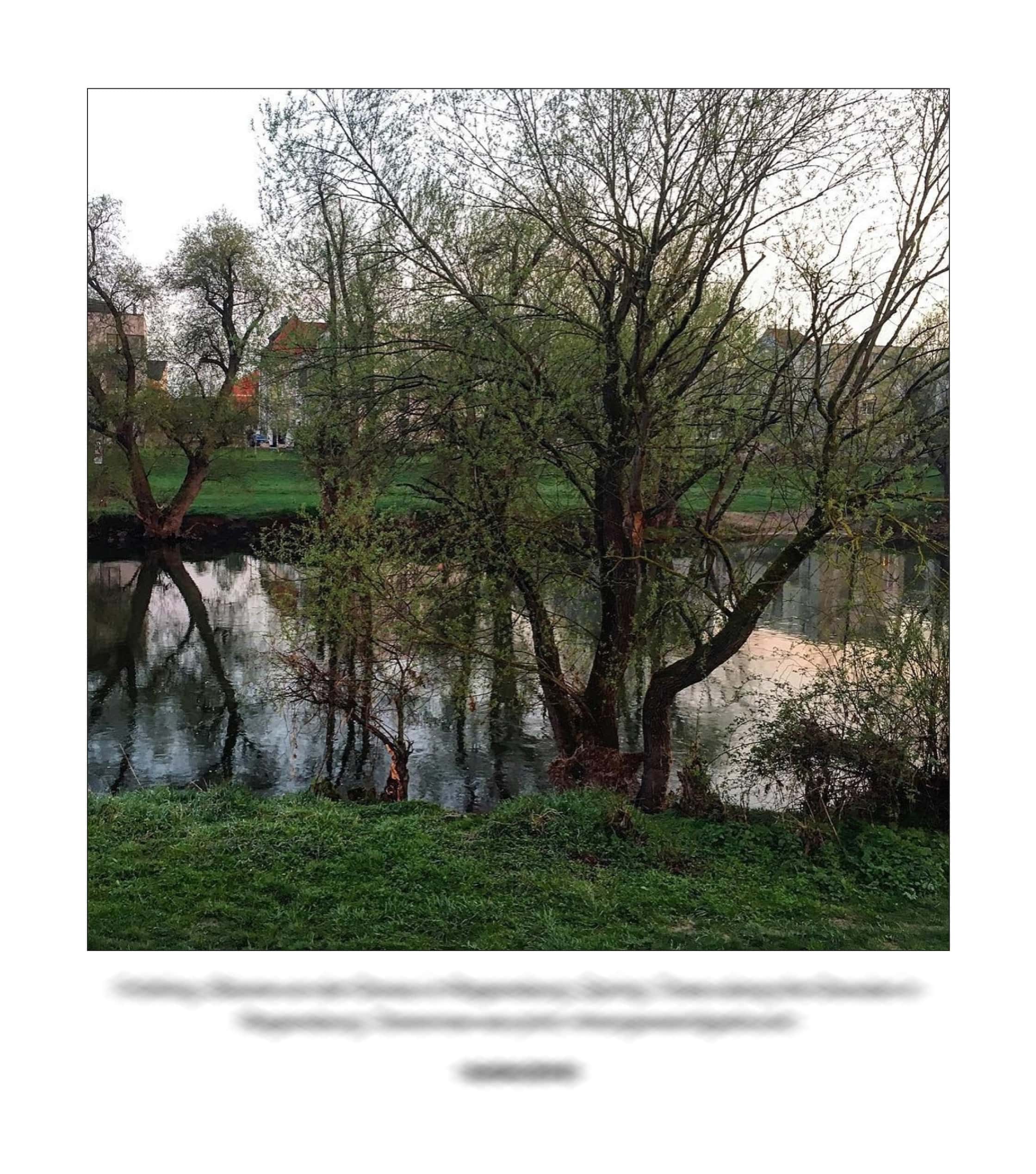 KAI – 2018 – The Instagram Years – www.illustration.world