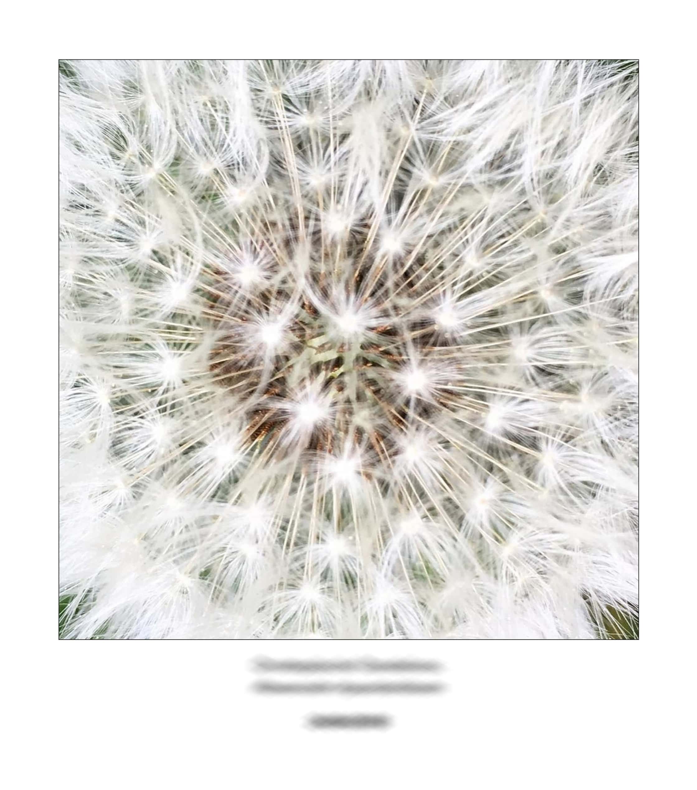 KAI – 2018 – The Instagram Years – www.illustration.world