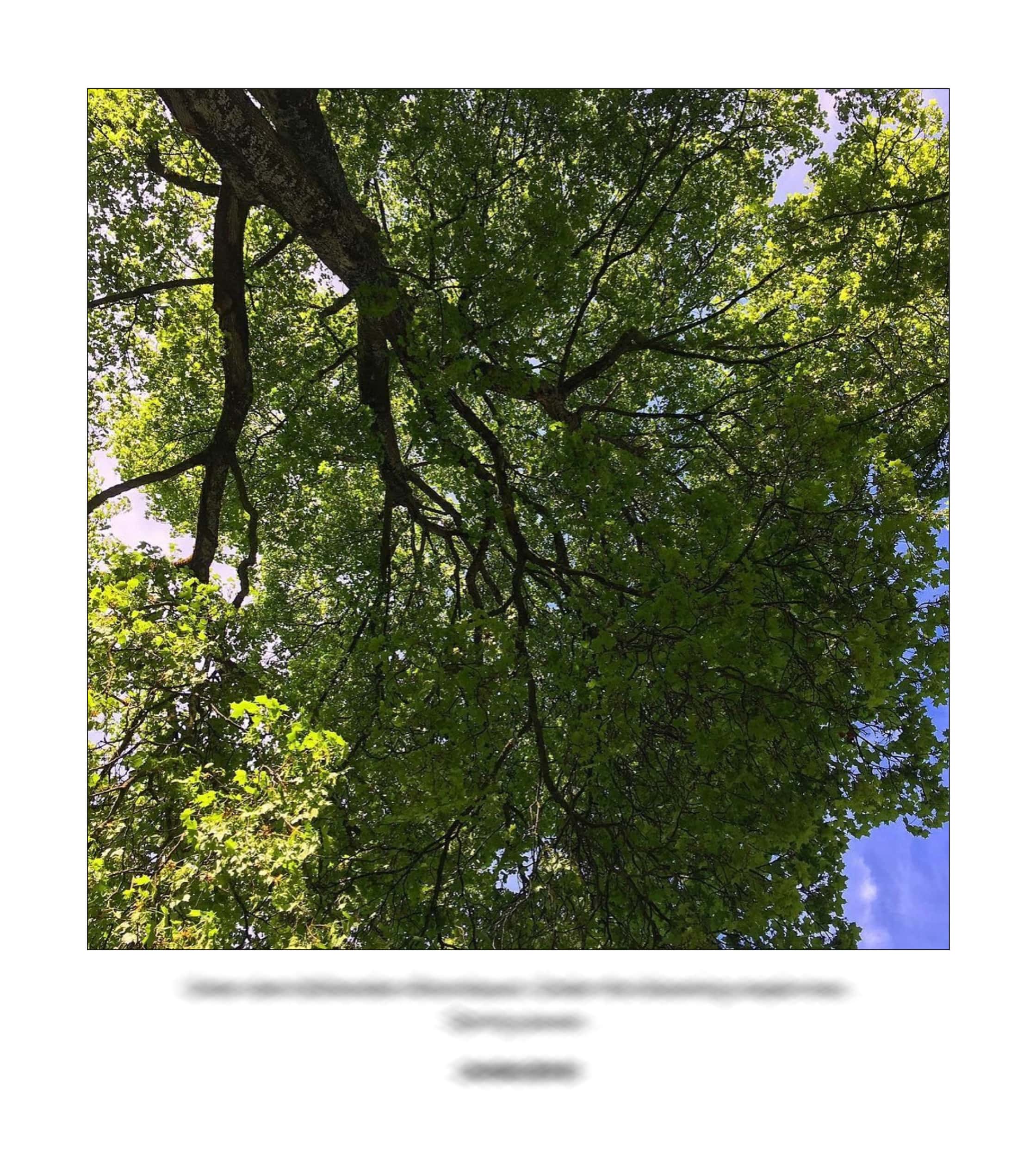 KAI – 2018 – The Instagram Years – www.illustration.world