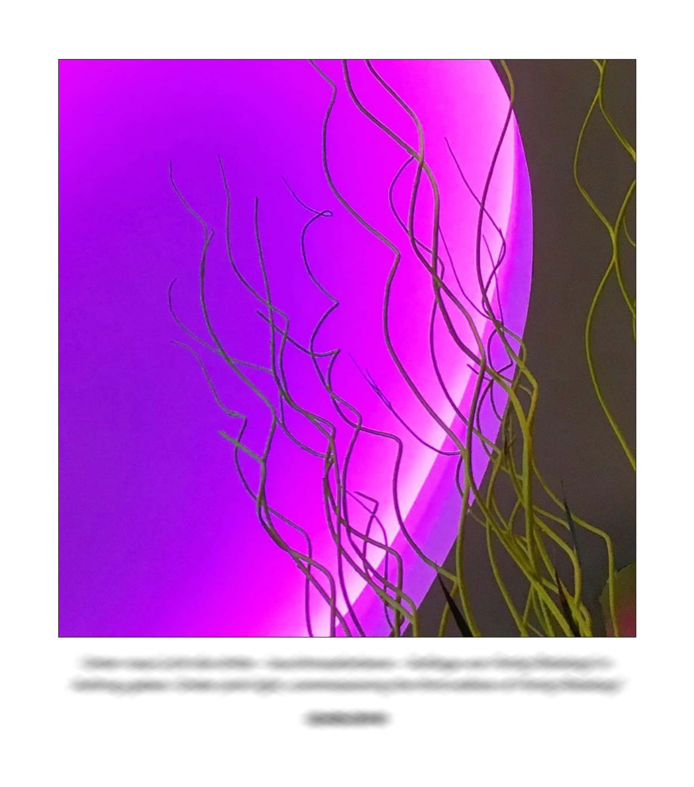 KAI – 2018 – The Instagram Years – www.illustration.world