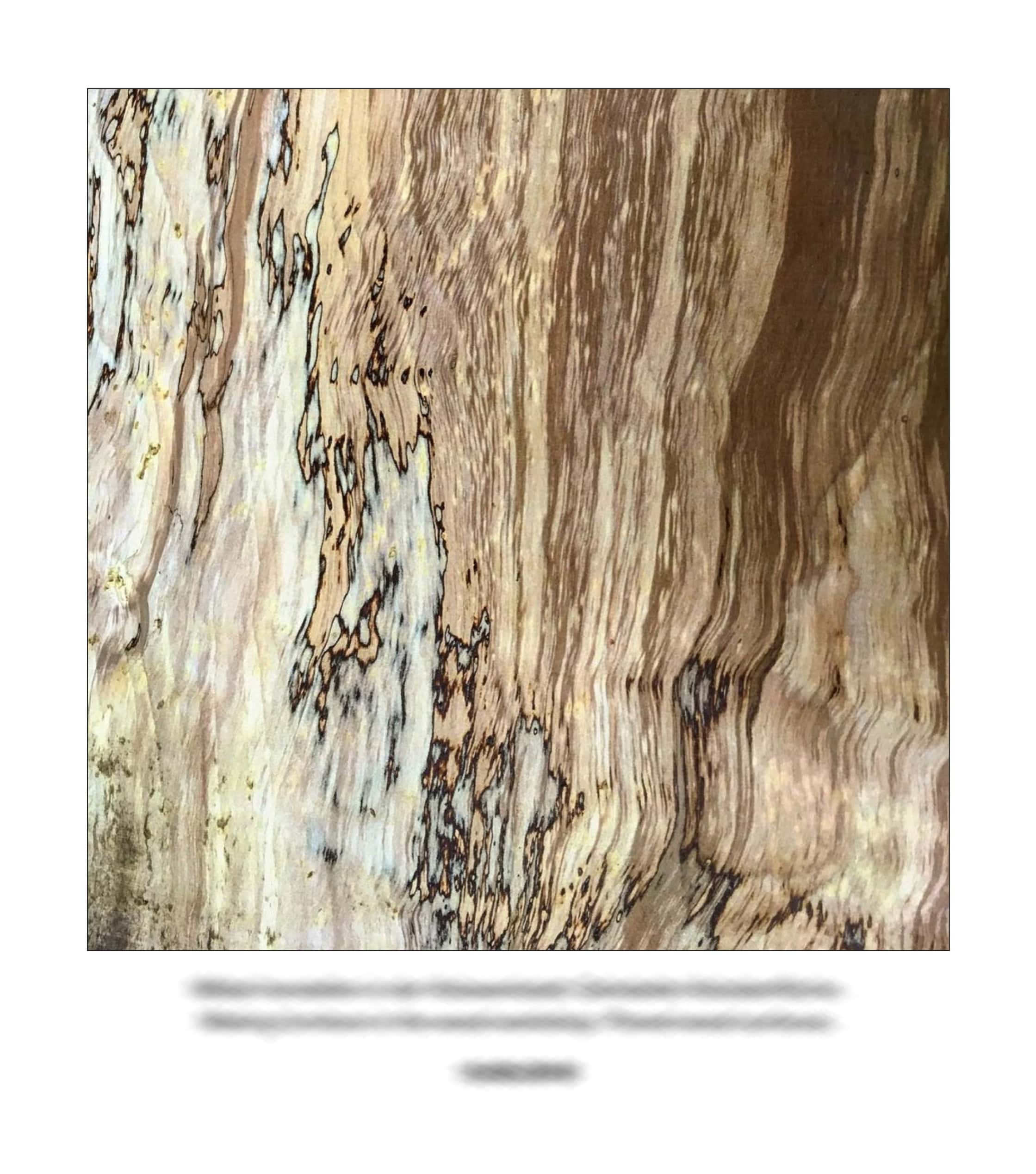 KAI – 2018 – The Instagram Years – www.illustration.world