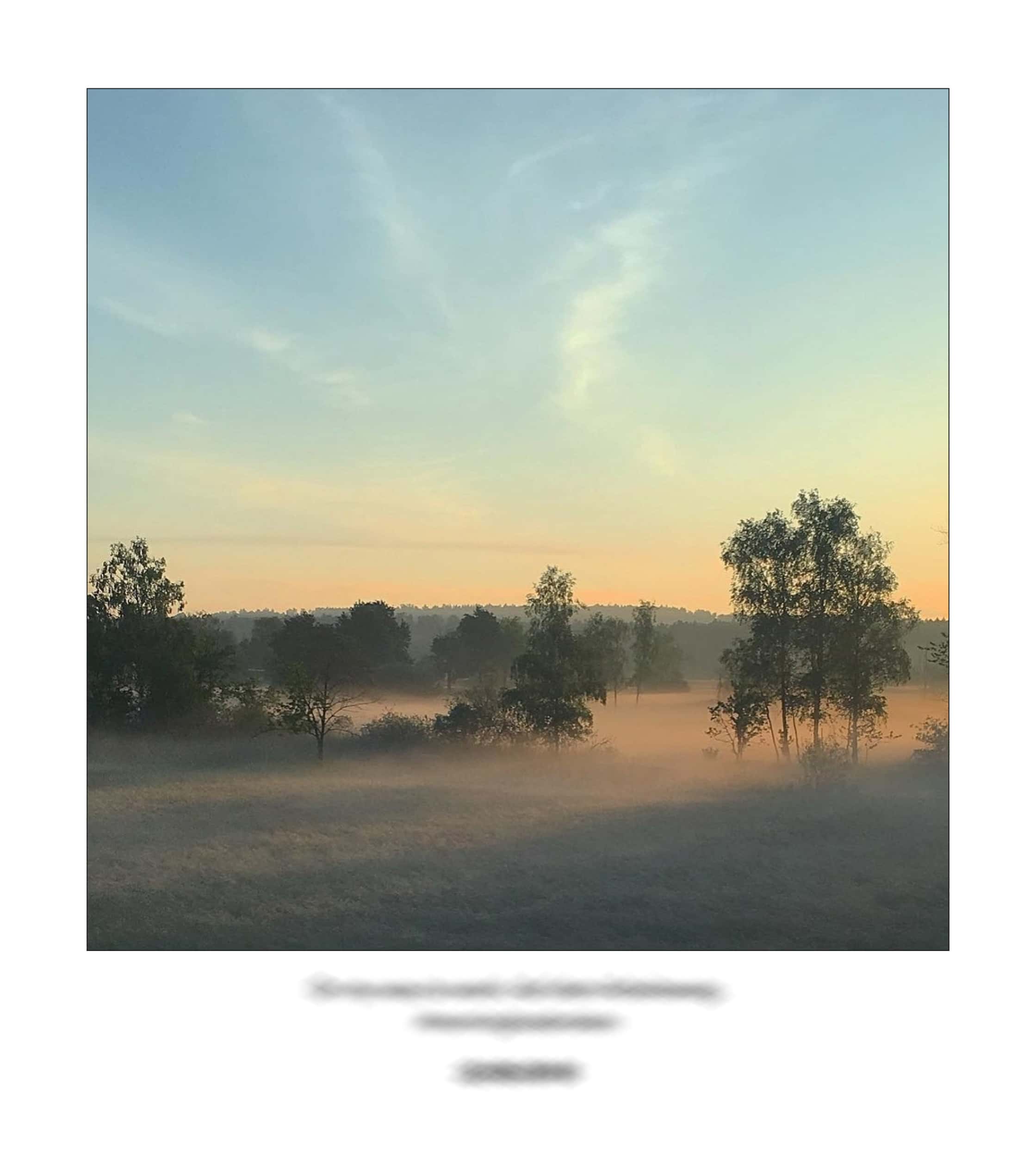 KAI – 2018 – The Instagram Years – www.illustration.world