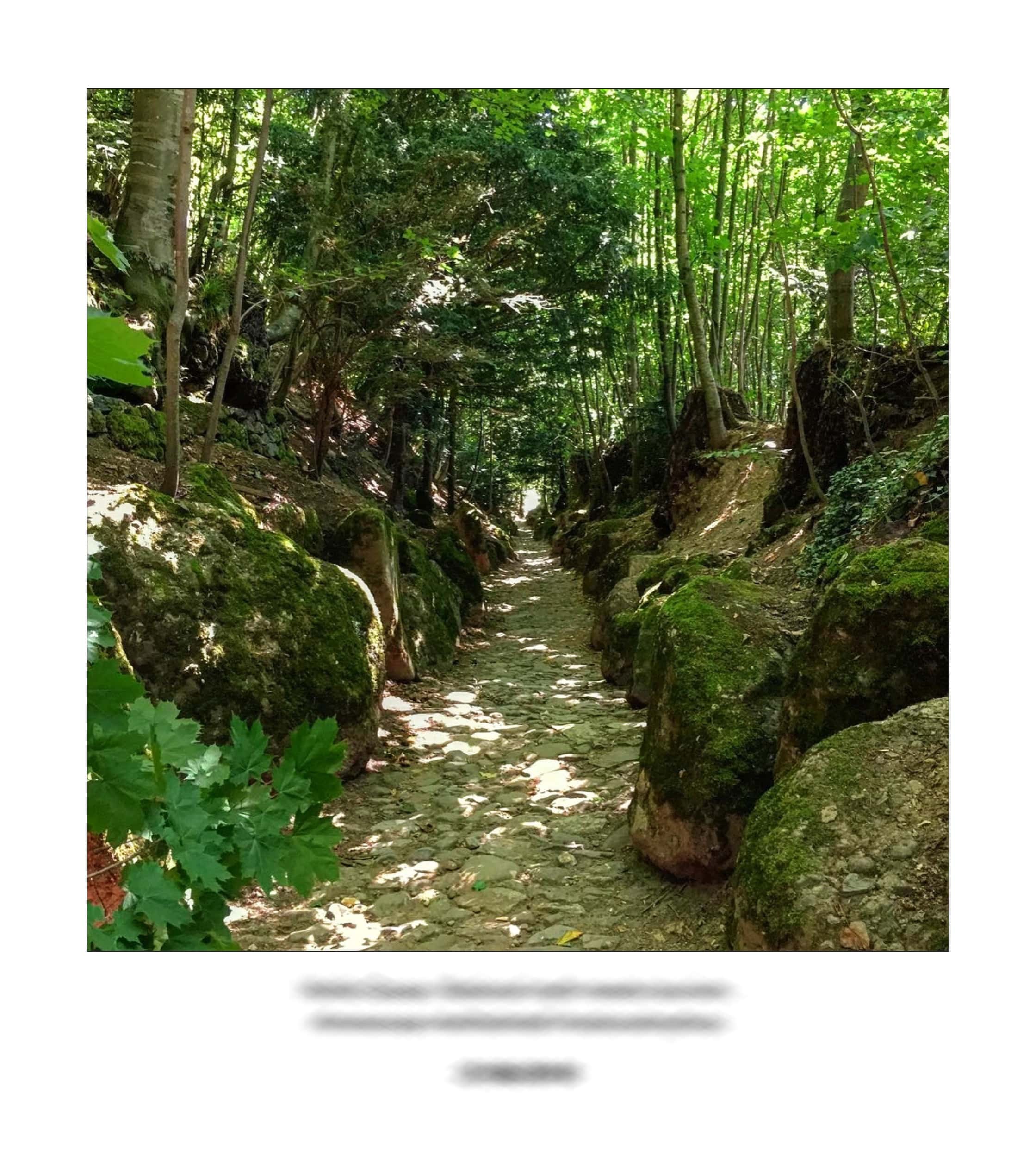 KAI – 2018 – The Instagram Years – www.illustration.world