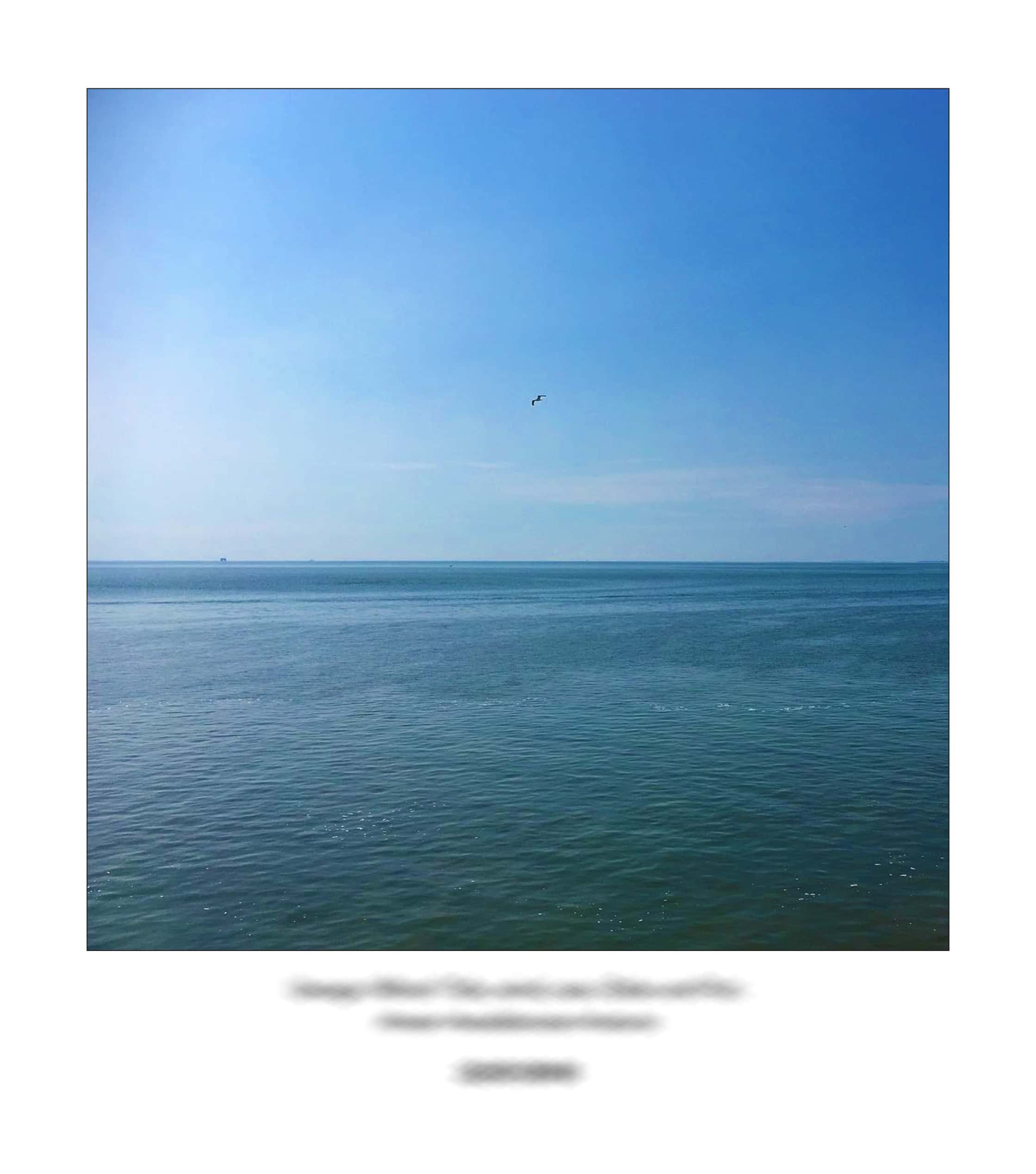 KAI – 2018 – The Instagram Years – www.illustration.world