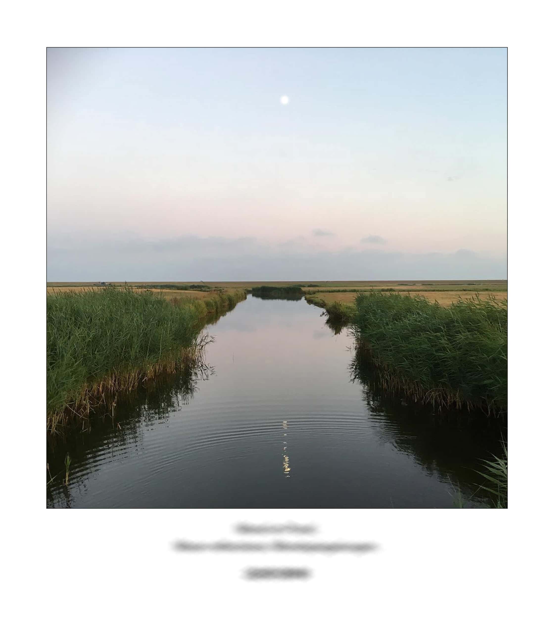 KAI – 2018 – The Instagram Years – www.illustration.world