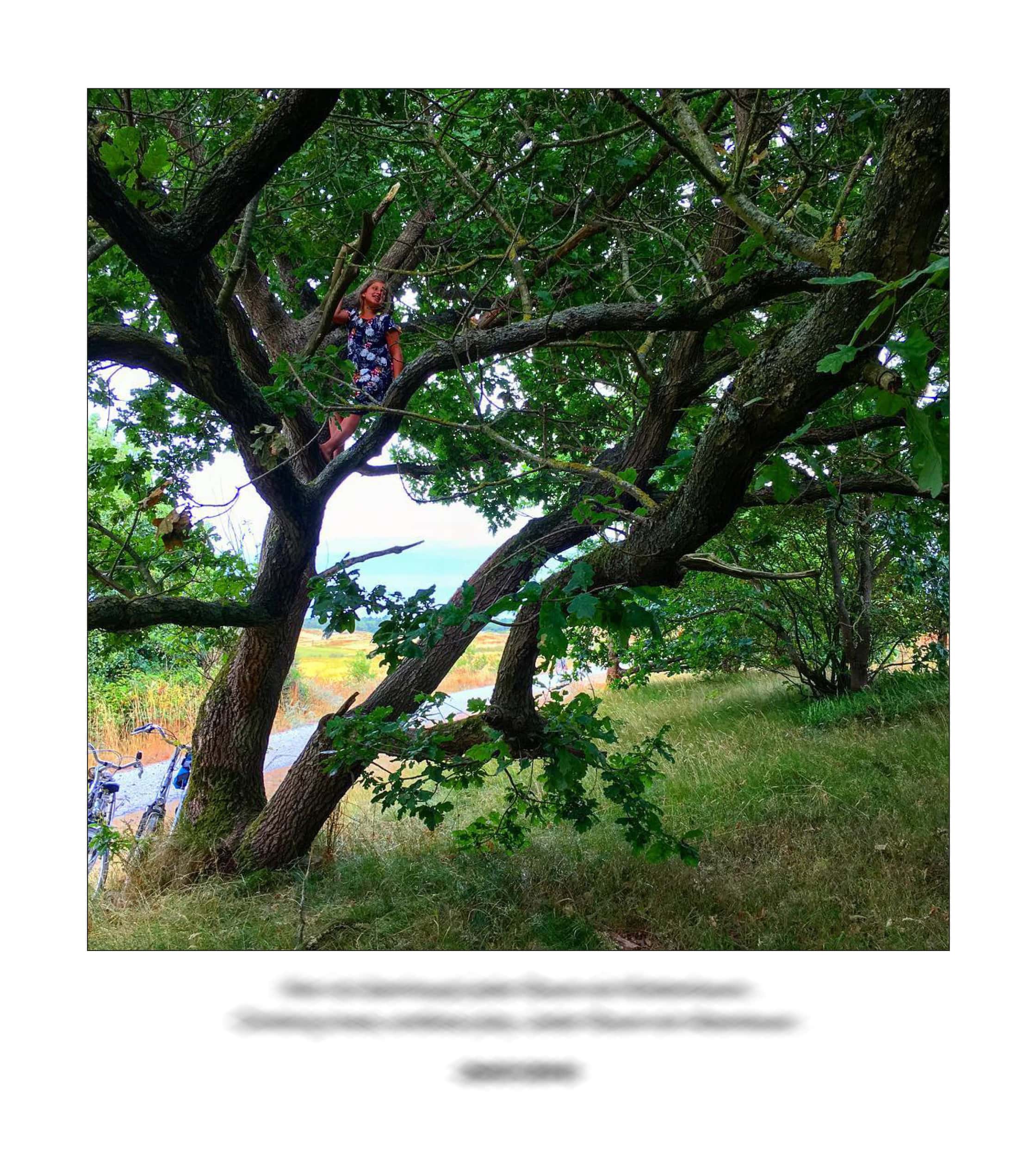 KAI – 2018 – The Instagram Years – www.illustration.world