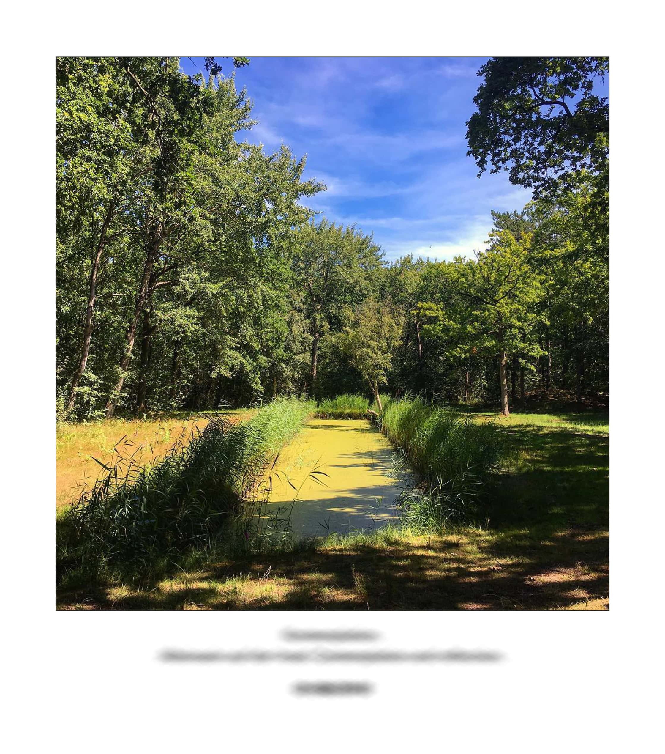 KAI – 2018 – The Instagram Years – www.illustration.world