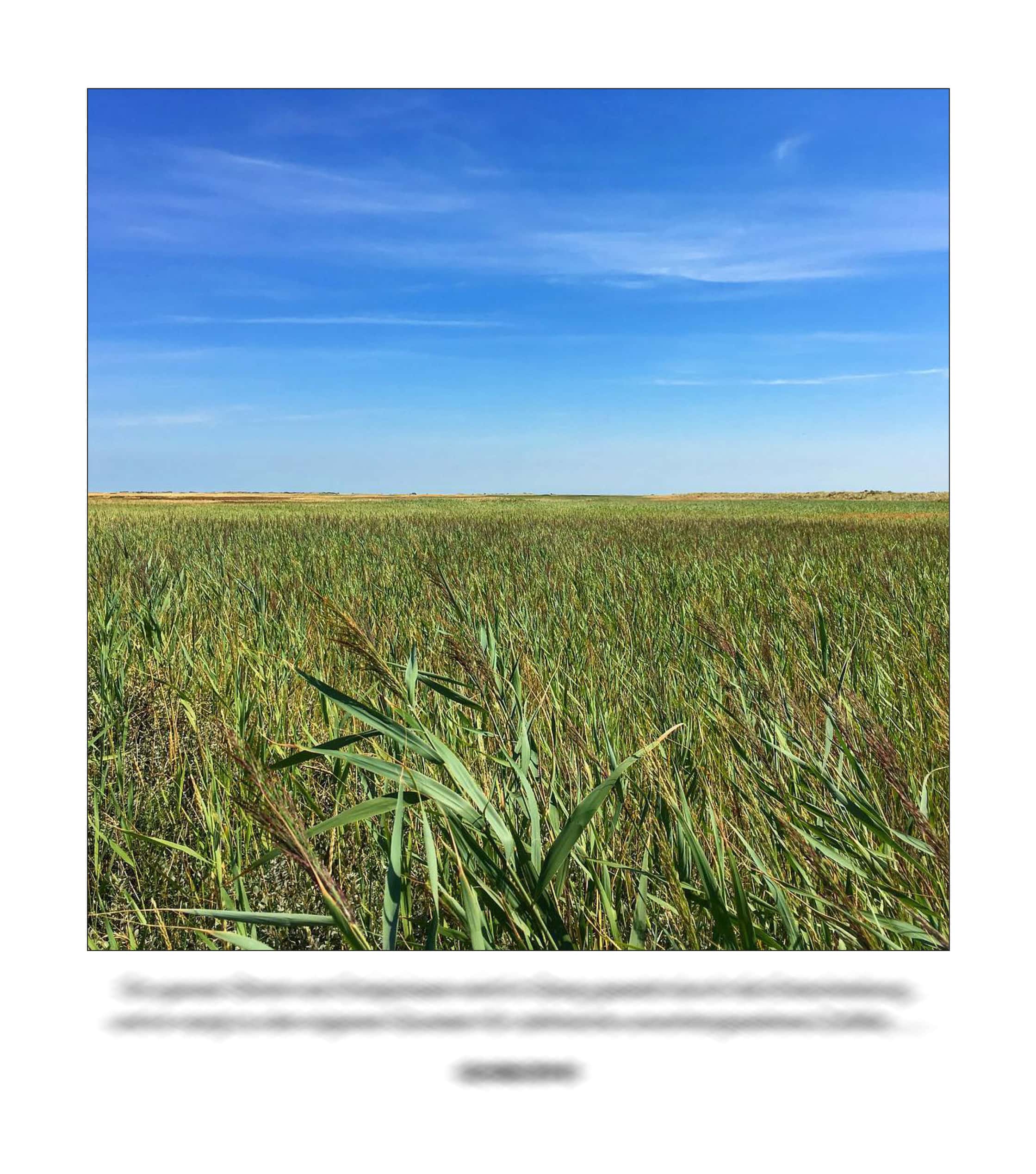 KAI – 2018 – The Instagram Years – www.illustration.world