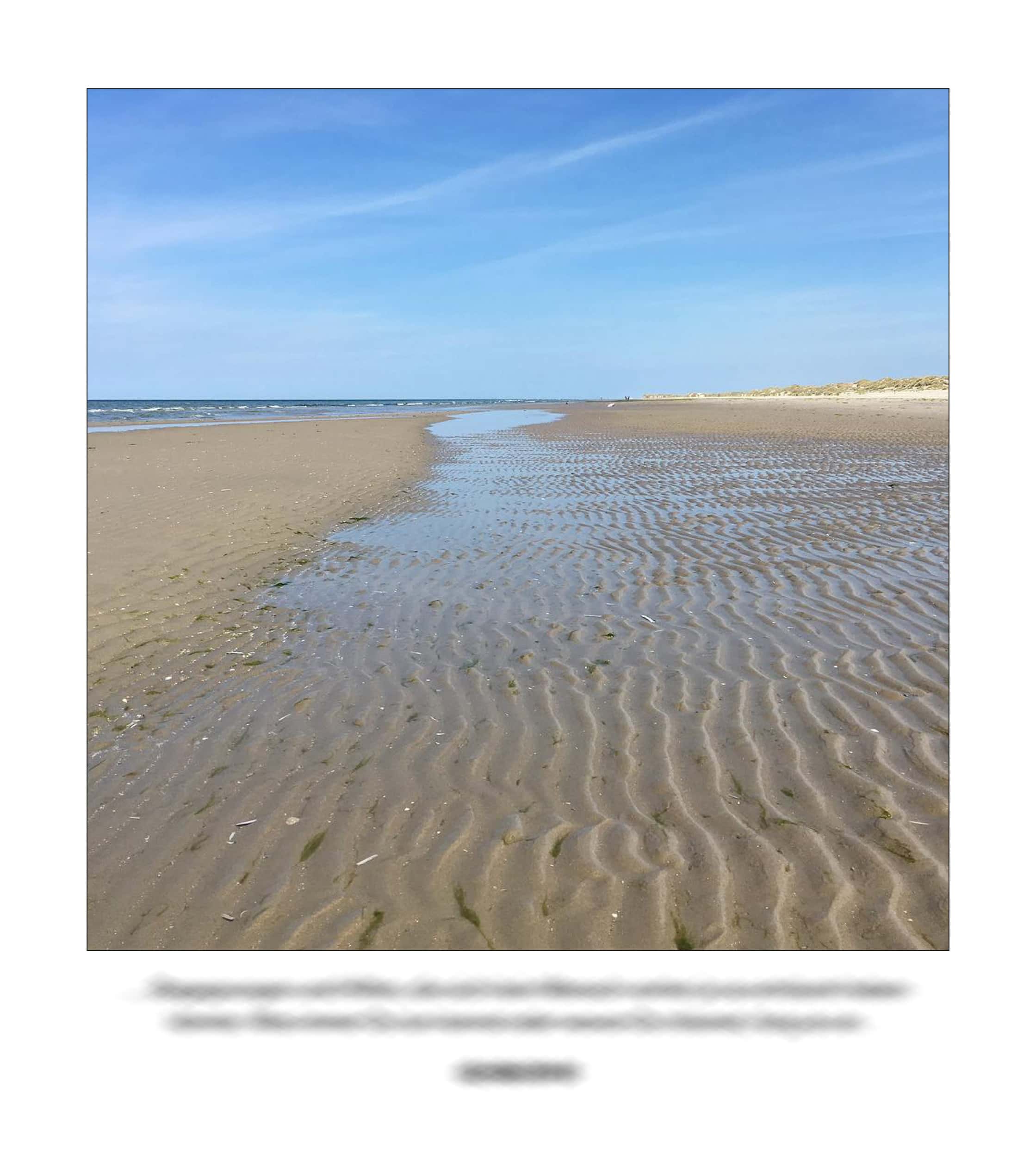 KAI – 2018 – The Instagram Years – www.illustration.world