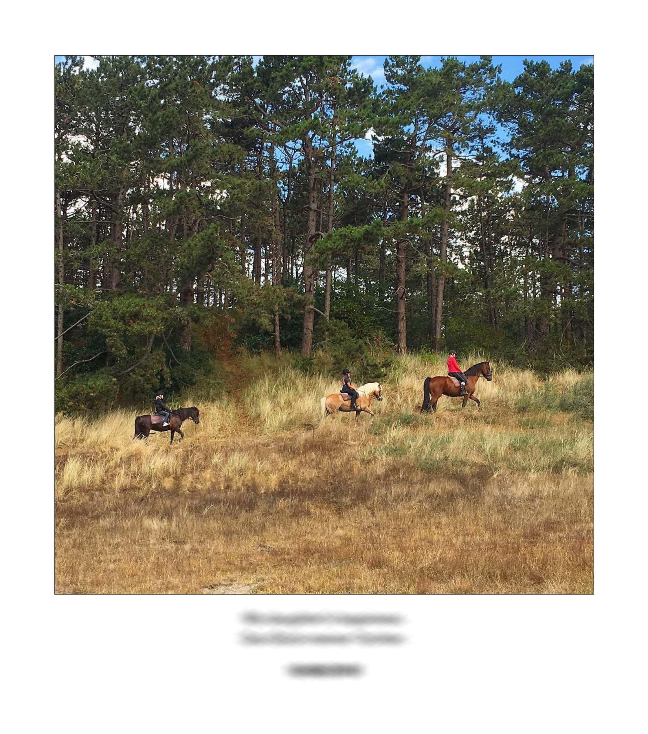 KAI – 2018 – The Instagram Years – www.illustration.world