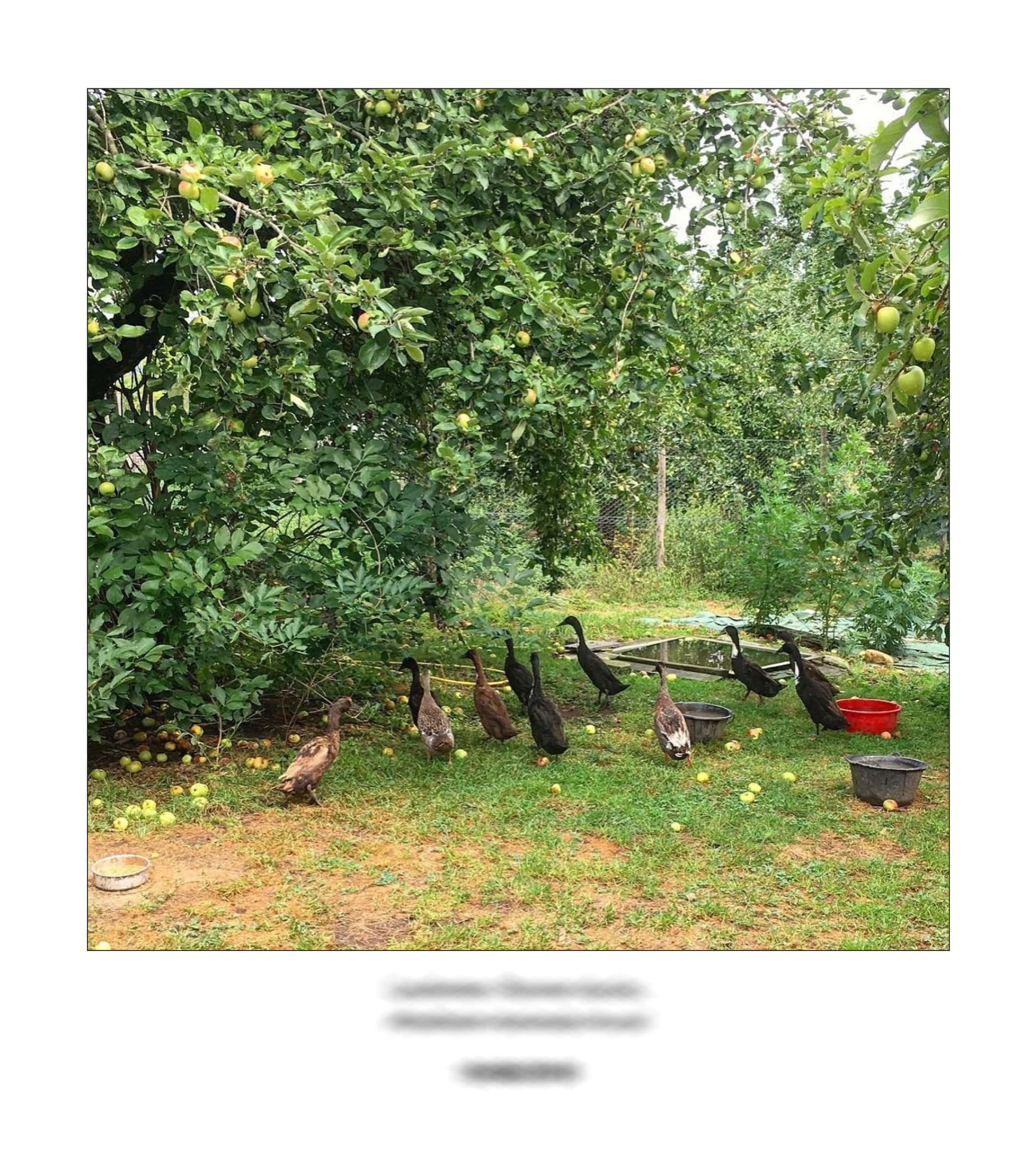 KAI – 2018 – The Instagram Years – www.illustration.world