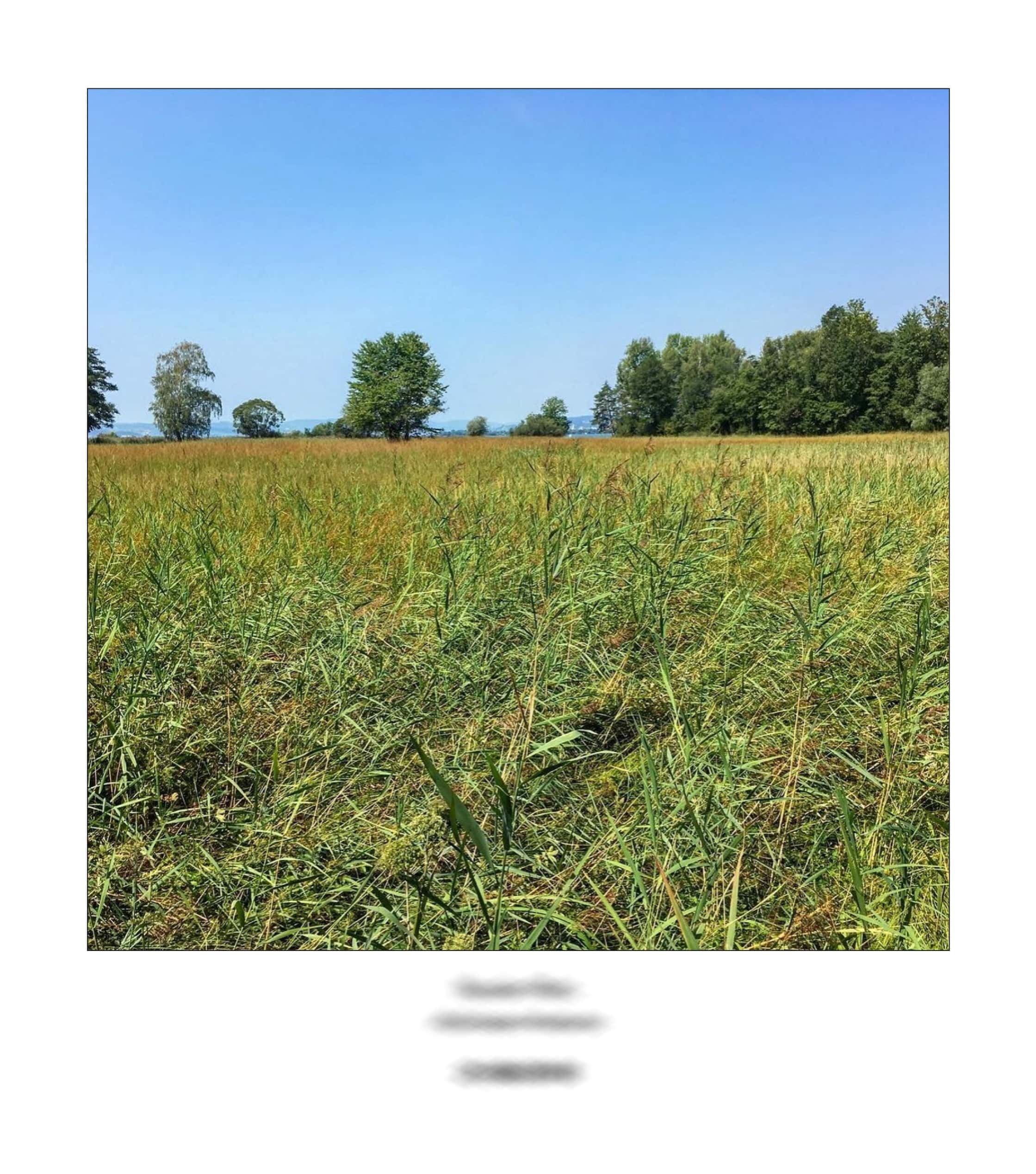 KAI – 2018 – The Instagram Years – www.illustration.world