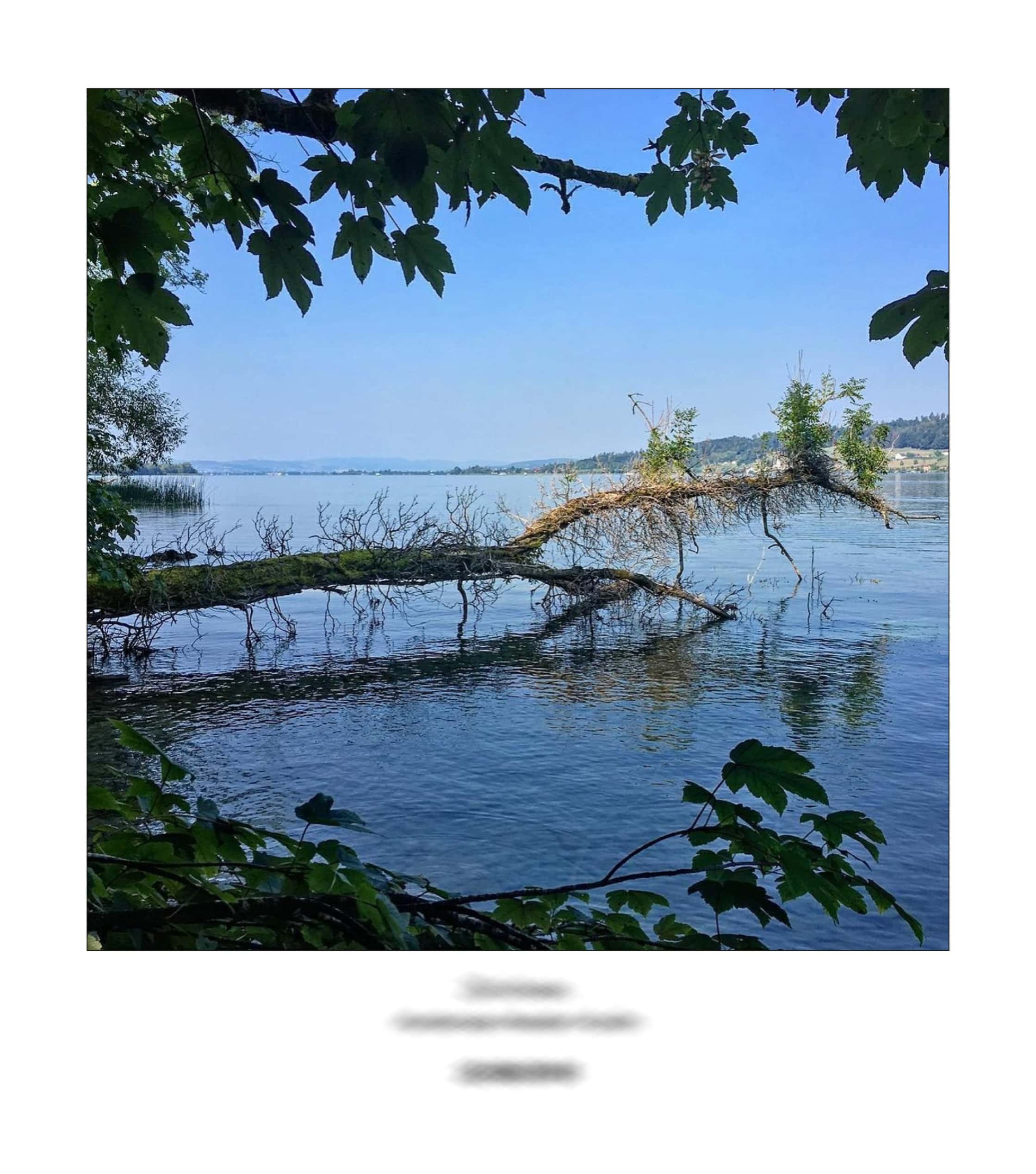 KAI – 2018 – The Instagram Years – www.illustration.world