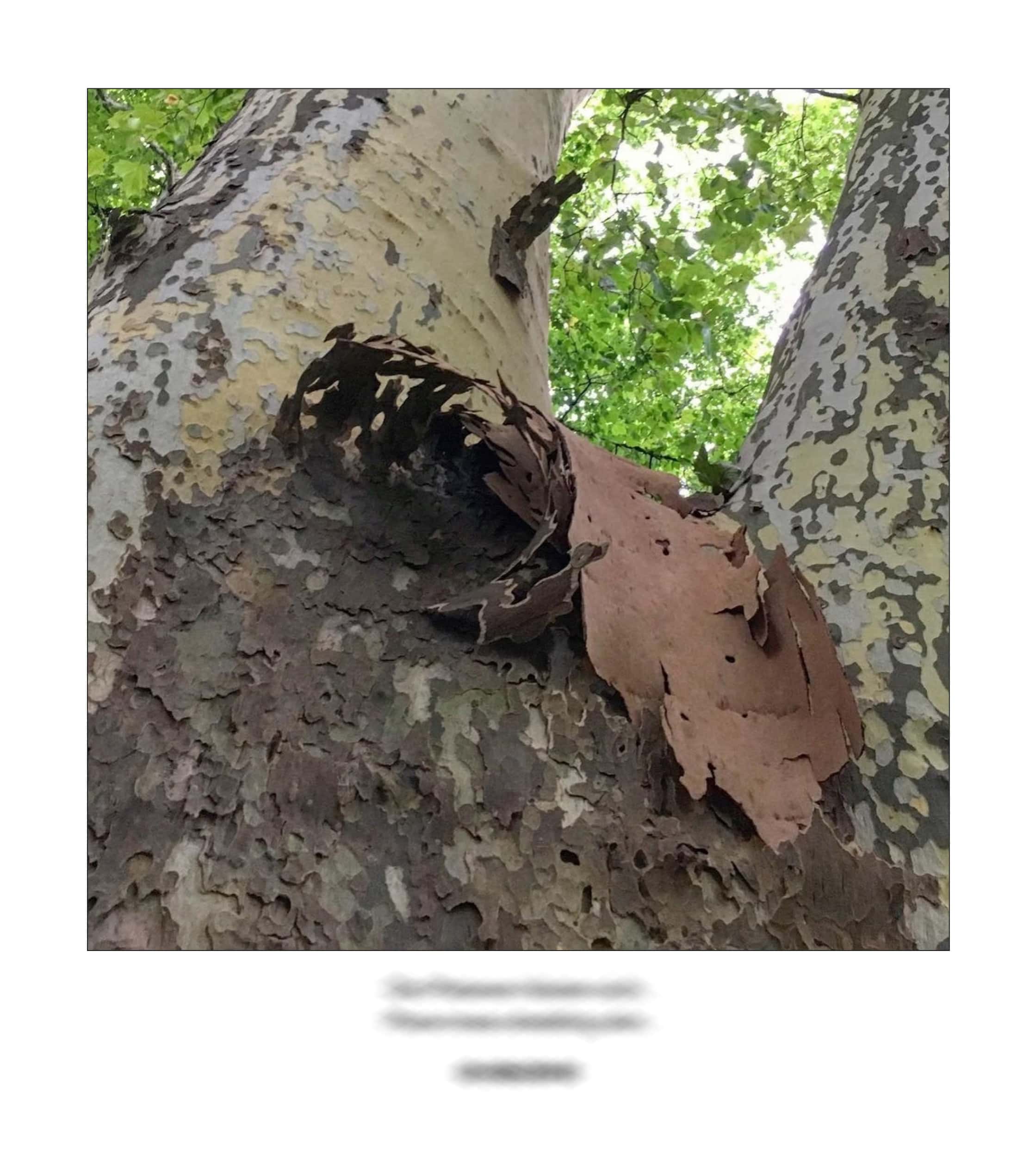 KAI – 2018 – The Instagram Years – www.illustration.world