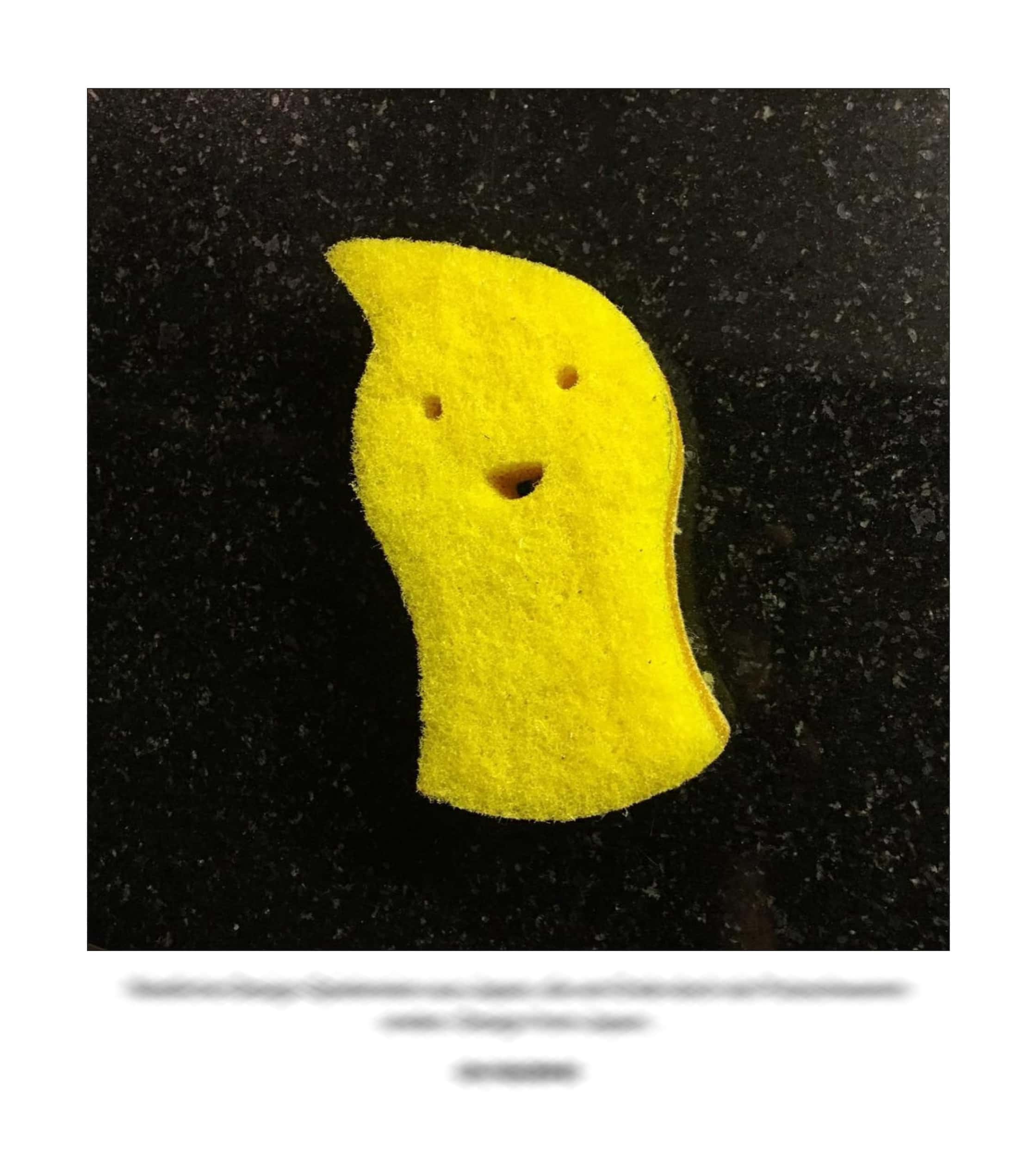 KAI – 2018 – The Instagram Years – www.illustration.world