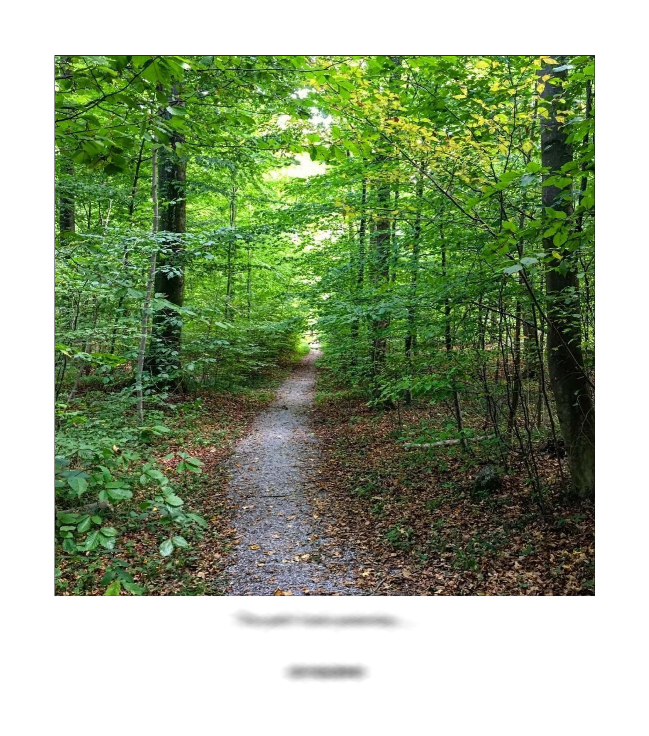 KAI – 2018 – The Instagram Years – www.illustration.world