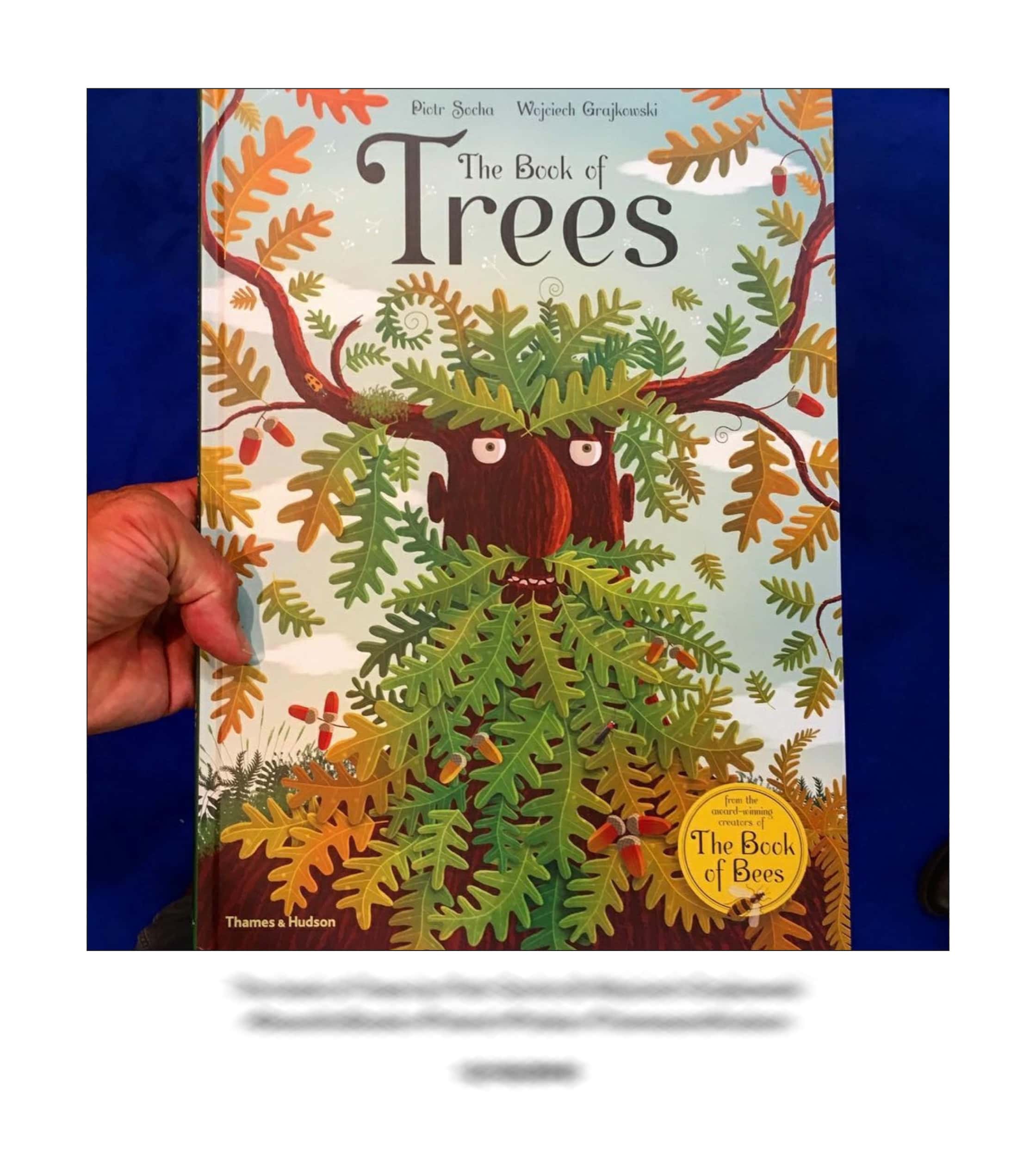 KAI – 2018 – The Instagram Years – www.illustration.world