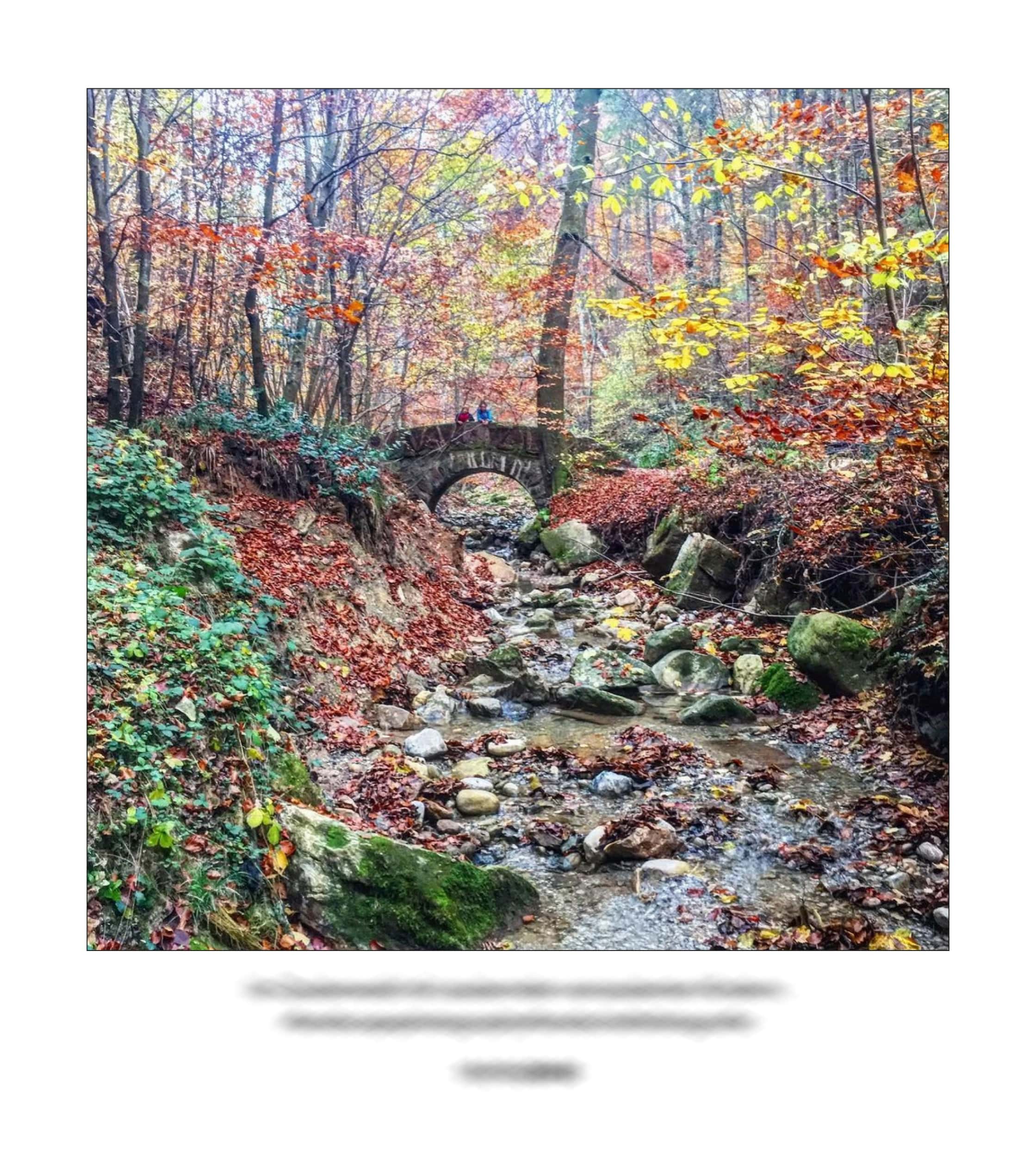 KAI – 2018 – The Instagram Years – www.illustration.world