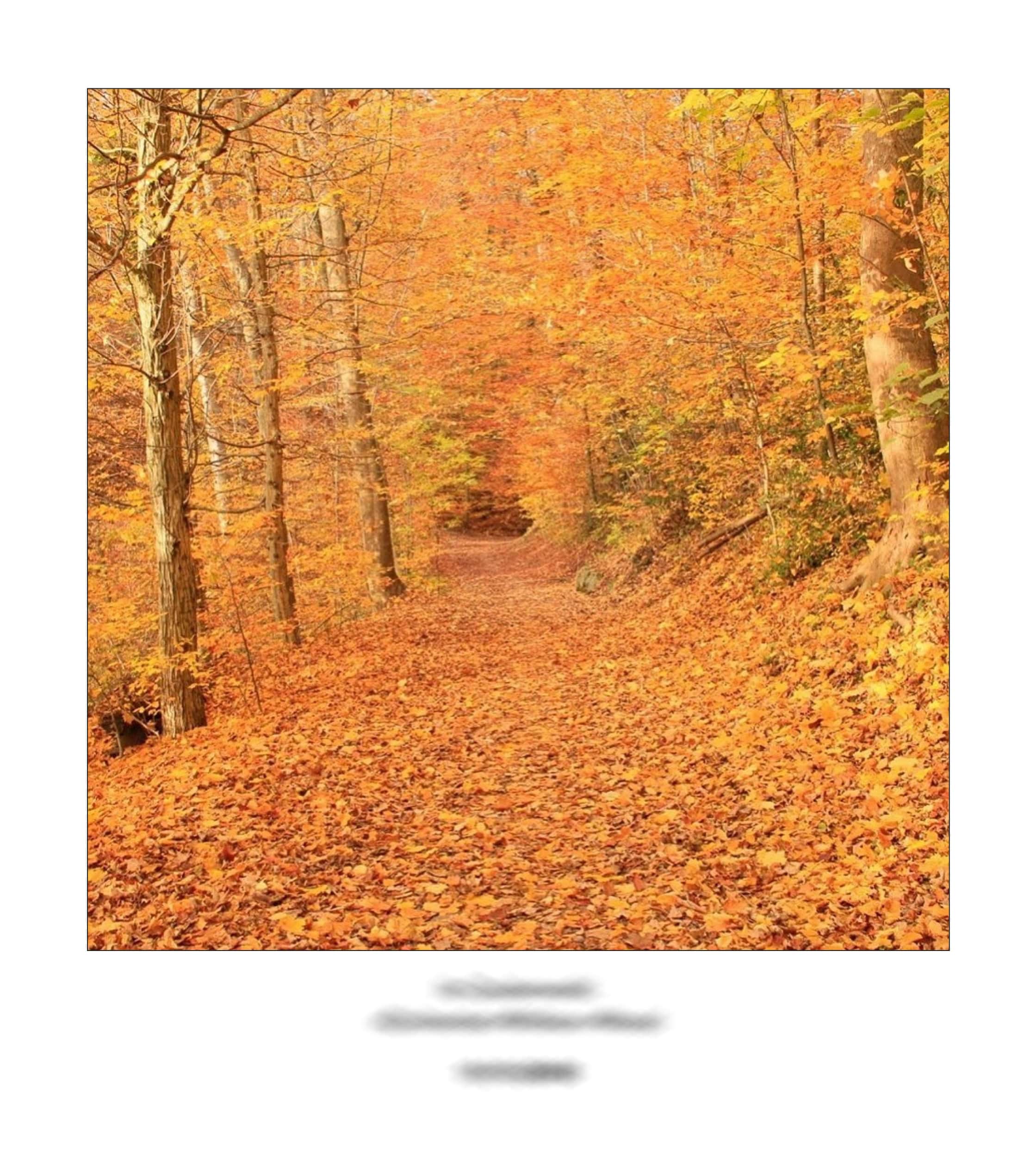 KAI – 2018 – The Instagram Years – www.illustration.world