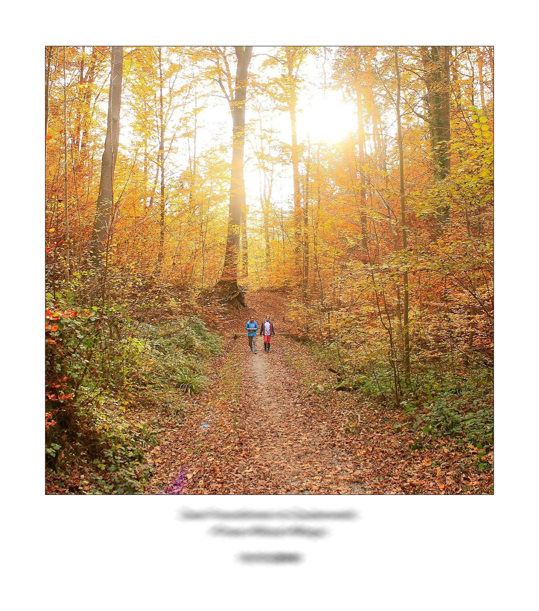 KAI – 2018 – The Instagram Years – www.illustration.world