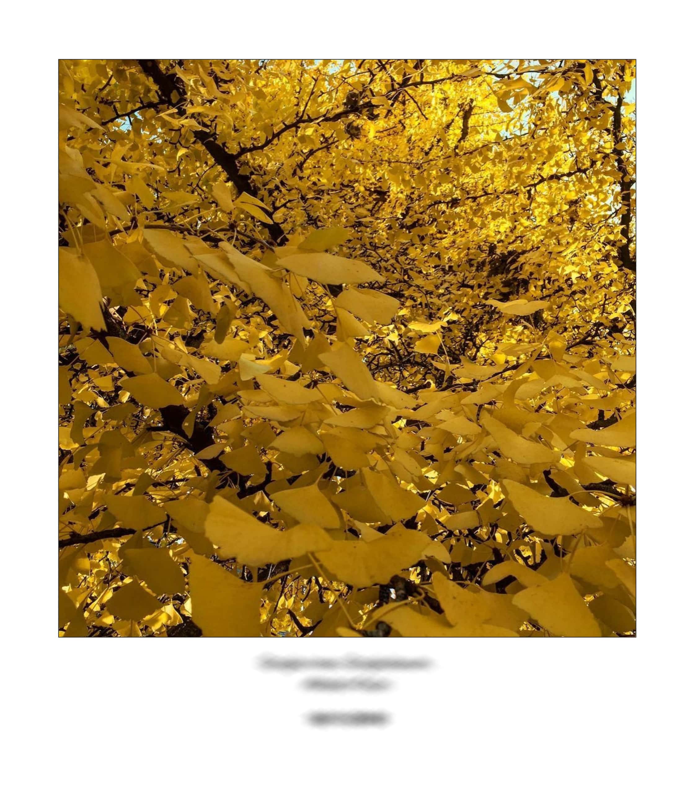 KAI – 2018 – The Instagram Years – www.illustration.world