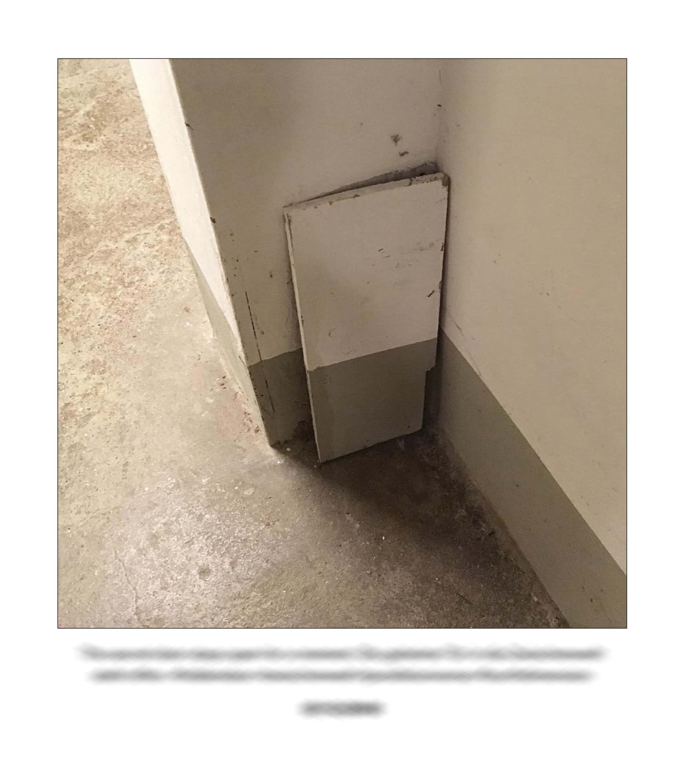 KAI – 2018 – The Instagram Years – www.illustration.world