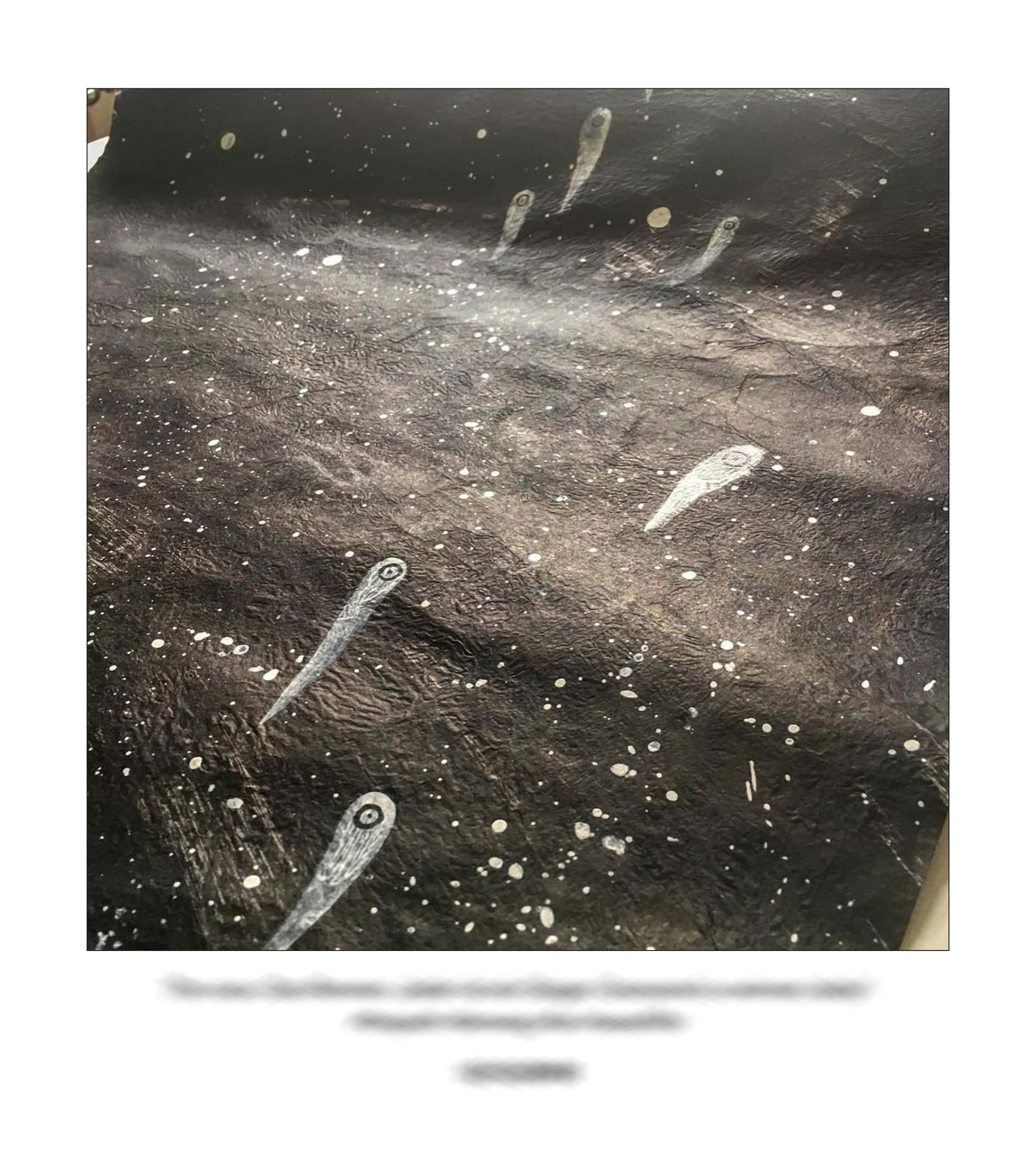 KAI – 2018 – The Instagram Years – www.illustration.world