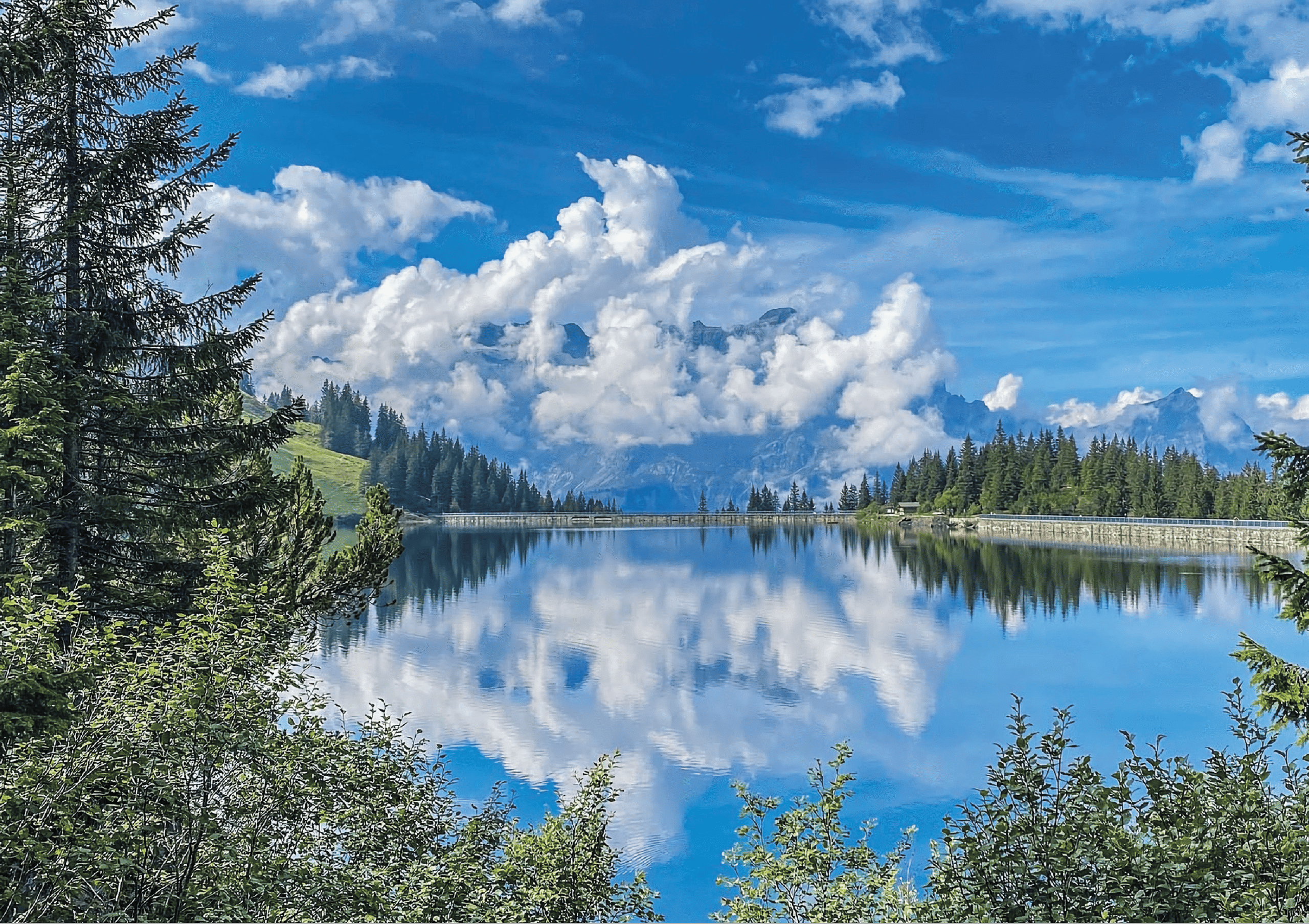 The Instagram Years 2020–2021